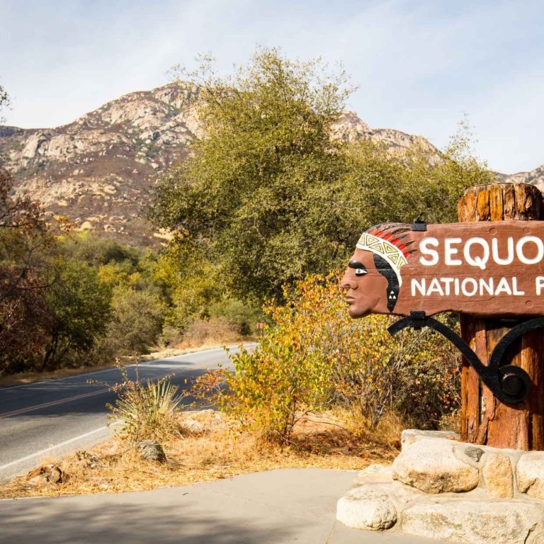 Gran Sequoya National Park