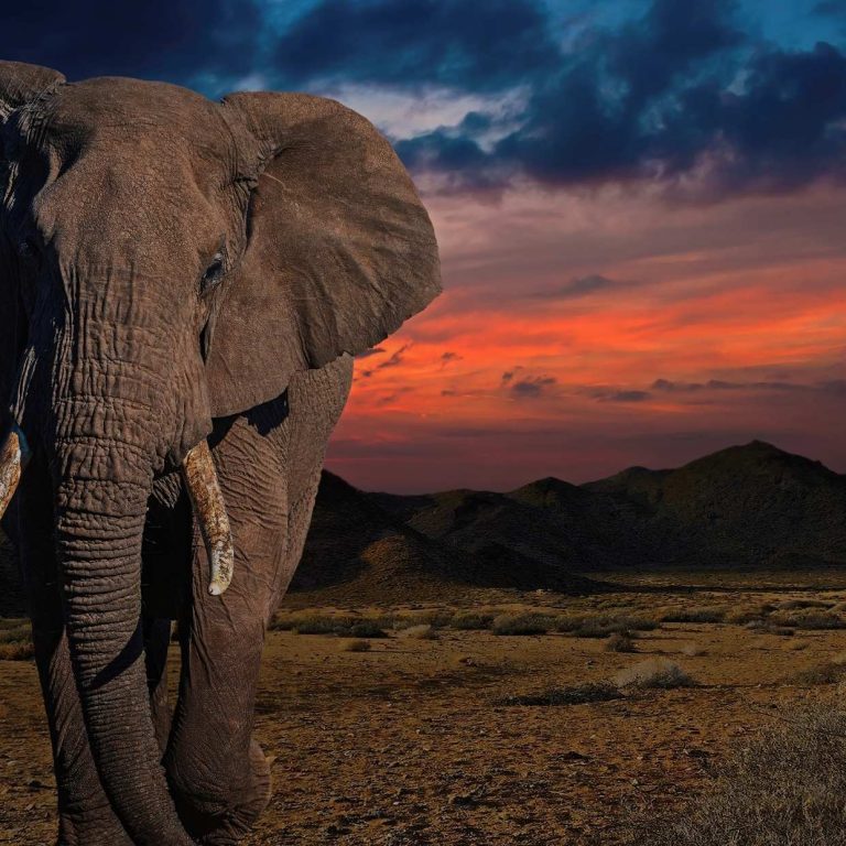 Sudáfrica fascinante