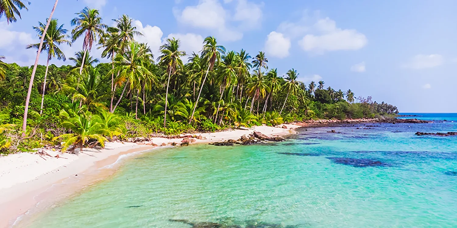 aerial-view-beautiful-beach-sea-with-coconut-palm-tree